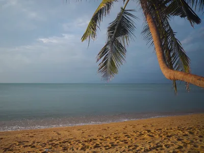 Beach Day scene