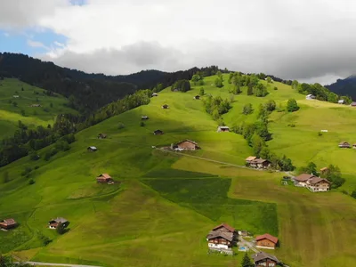 Swiss Pastures scene